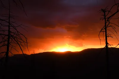 DSC_4572 (Large).JPG